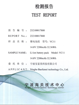 Sample Test Report